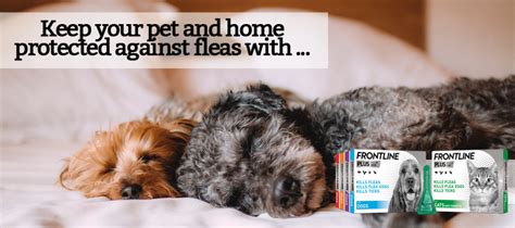365vet.co.uk|Pet Prescriptions Online .